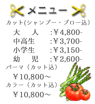 料金表