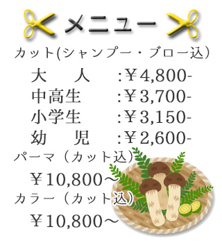 料金表